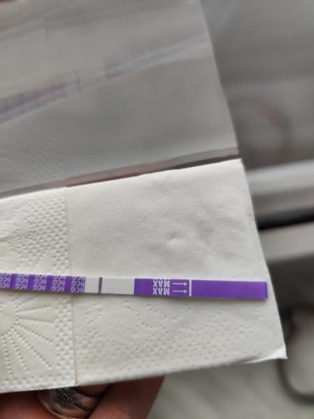 Vidíte na těhotenském testu ducha? Diskuse o výsledcích testů