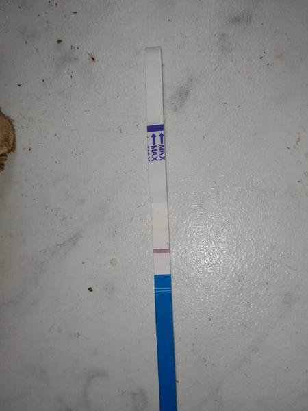 Jsem těhotná při zpoždění a slabé pozitivní testy?