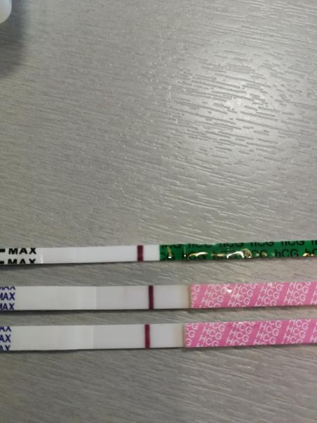 Vidíte ducha na těhotenském testu?