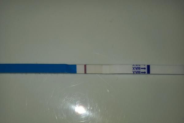 Zpoždění menstruace a neúspěšný těhotenský test. Máte zkušenost?