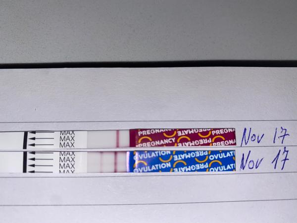 Ovulace pozdě. Je přesto možné otěhotnět?