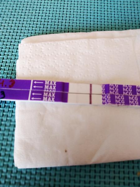 Těhotenský test. Myslíte, že je šance na těhu?