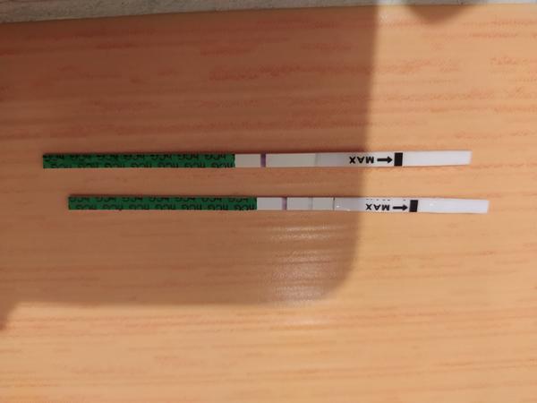 Pozitivní/negativní test. Jaké máte zkušenosti?