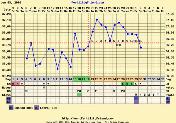 Má cenu zkoušet další IVF, když se embryjko neudrží?
