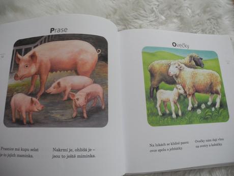 Knížka pro děti, 