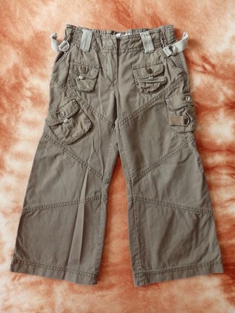 Pláťáky - kapsáče, 110