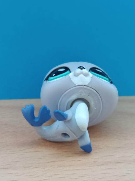 Lps tuleň / lachtan zdobený, 