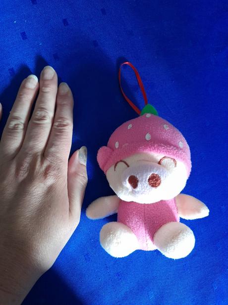 Plyšák, plyšový jahůdka medvídek,