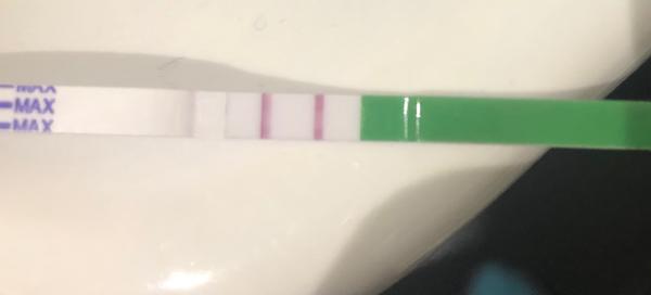 Je ovulační test pozitivní? Jak zjistit výsledek?