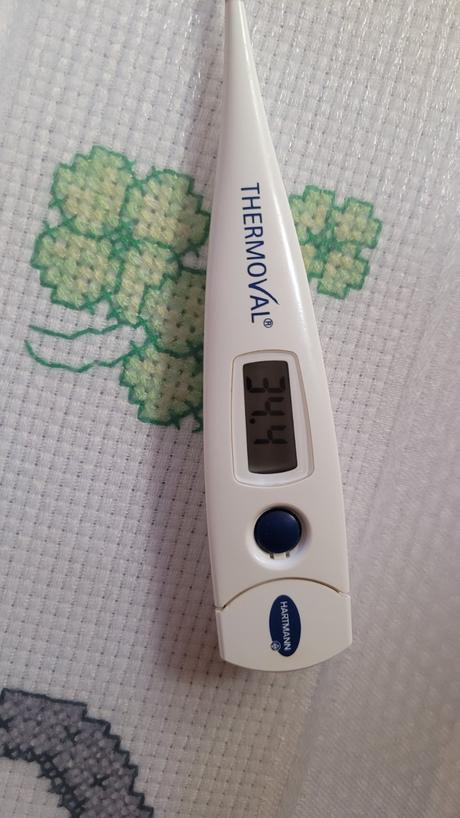 2 x digitální teploměr, 