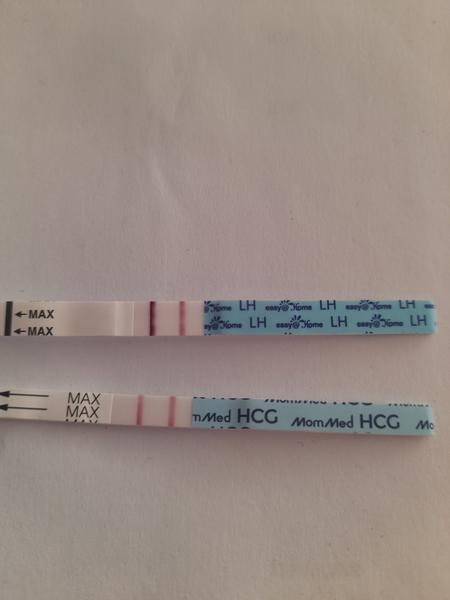 Kdy klesnou LH a hCG hodnoty po potratu?