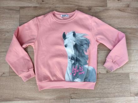 Mikina s koněm, 164