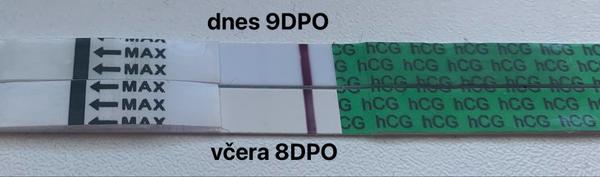 Mohu být těhotná podle výsledků testování?