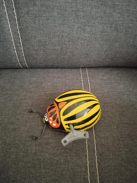 Mandelinka bramborobá, 