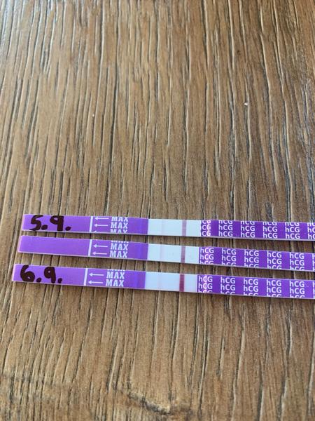 Slabé těhotenské testy po vynechání menstruace. Zkušenosti ostatních?