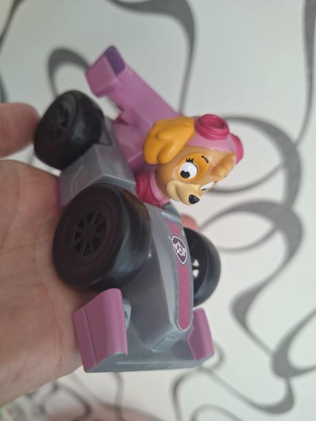 Tlapkova patrola - sky, 