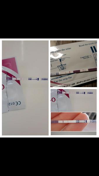 Ovulace a nemoc. Stalo se Vám, že to vyšlo?