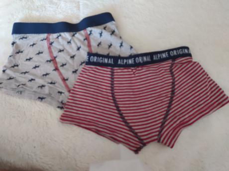 Boxerky alpine 2ks -98/104, alpine pro,98