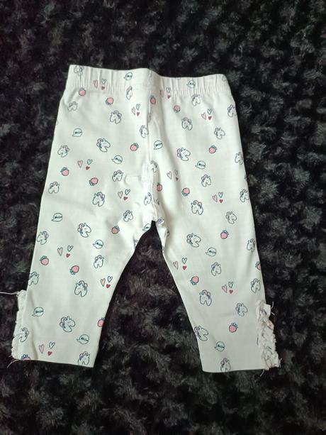 3/4 legíny, coccodrillo,74