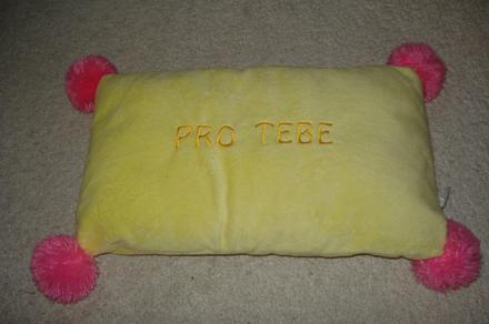 Plyšový polštářek,