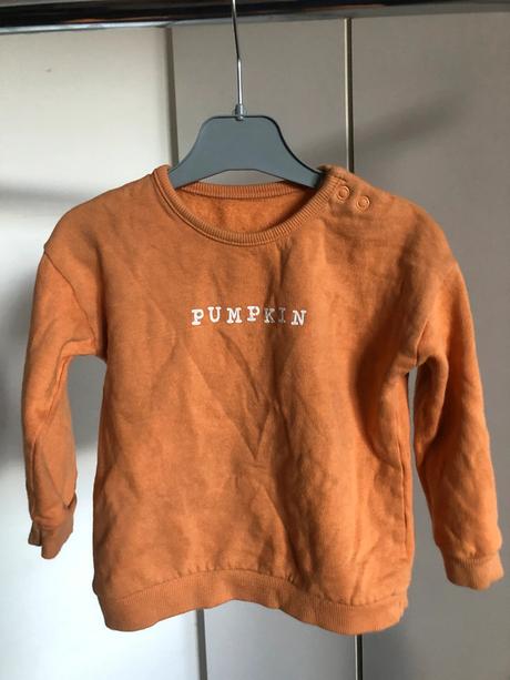 Rezavá mikina s nápisem, 86