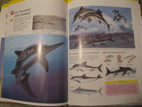 Knížka dinosauři, 