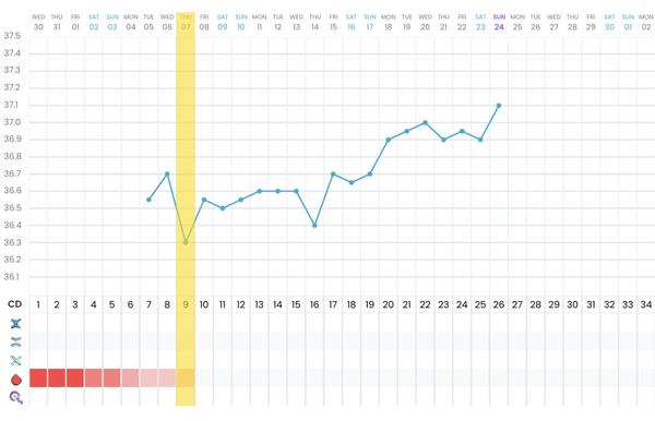 Je šance na úspěšné těhotenství po negativním testu?
