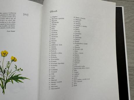 Kniha zpěvobajky a květomluva, robert desnos,