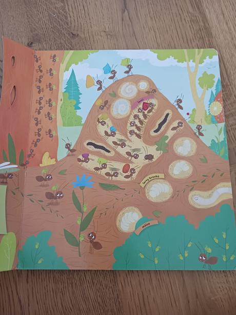 Kniha co se děje v mraveništi., 