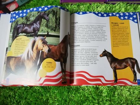 Sada knih o koních,