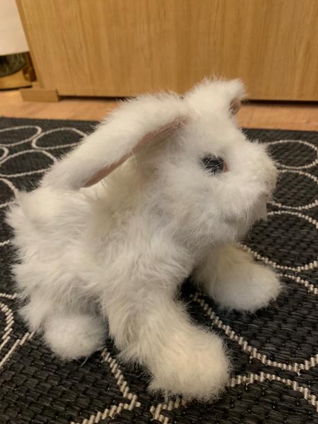 Sada plyšových domácich zvířátek,