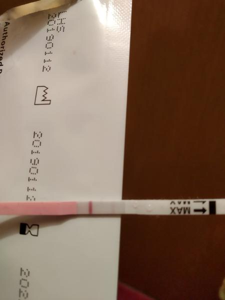 Ovulační test. Může ukázat těhotenství?