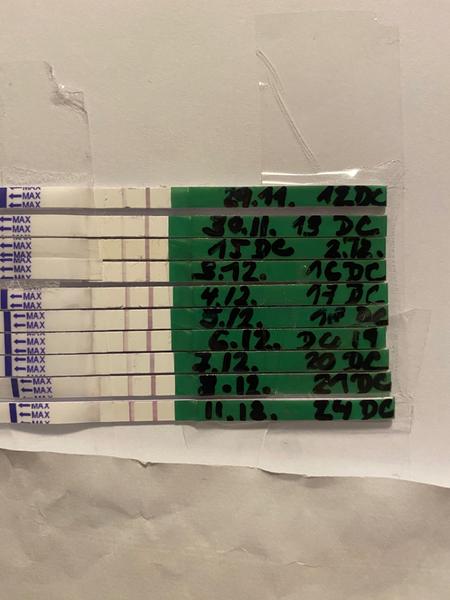 Máte také dlouhodobě silnější čárku na ovulačním testu?