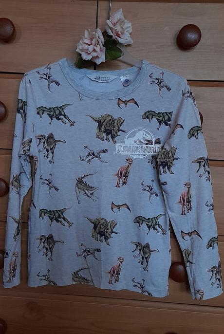 Melírové dinosauří tričko s dlouhým rukávem, h&m,128