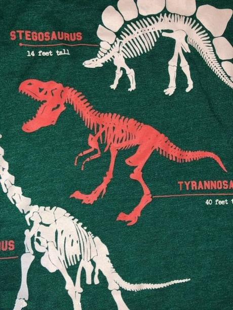 Zelené chlapecké dino triko, 2-4y, h&m,92