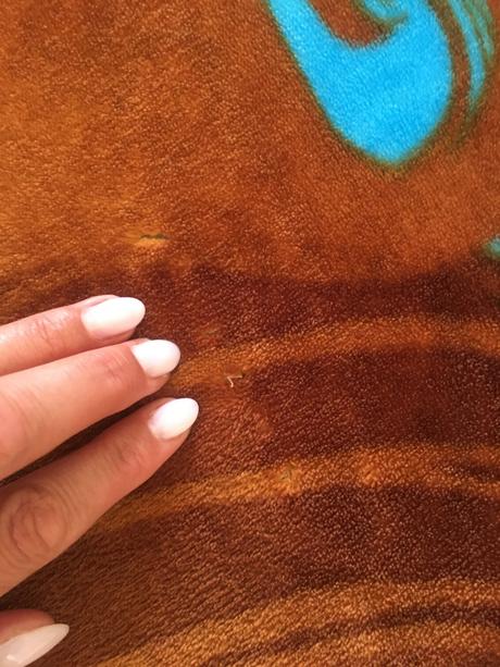 Dívčí deka disney princess,