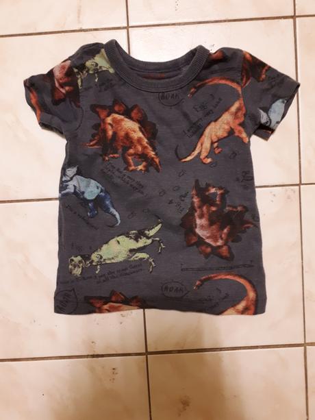 Tričko s dinosaury, next,80