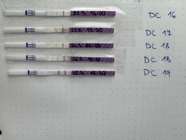 Je můj test opravdu pozitivní? Kdy začít akci?