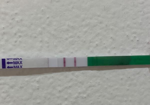 Co znamená 4 dny pozitivní ovulační testy?