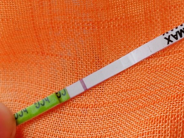 Vidíte na testu ducha nebo risku?