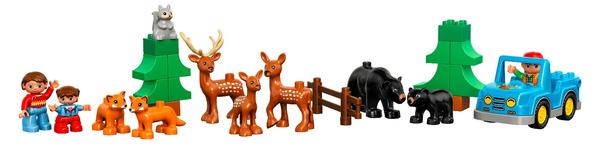 Chodíte s dětmi do přírody?