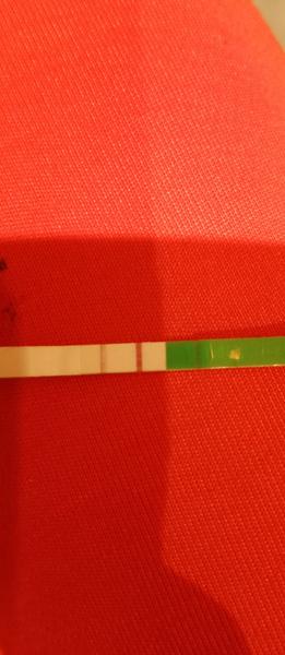 Bolest vaječníků a prsou. Může to být blížící se ovulace?