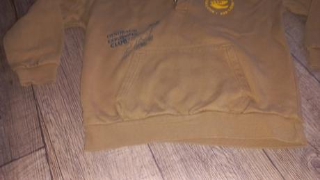 Mikina dino, pepco,134