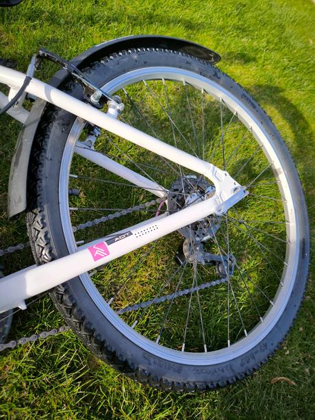 Kolo leader fox 24', 24