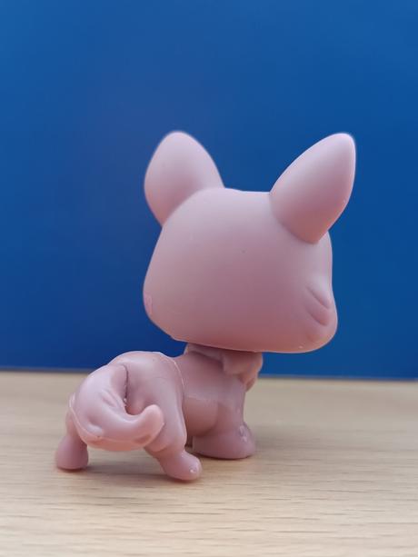 Lps pejsek corgi + růžová kočička + brýle,