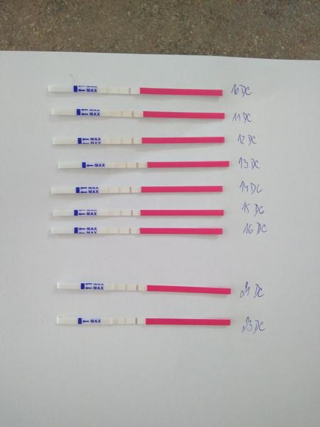 Pozitivní ovulační test - jak má být silná čárka?