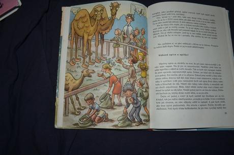 O.sekora. pošta v zoo, r.1963, 