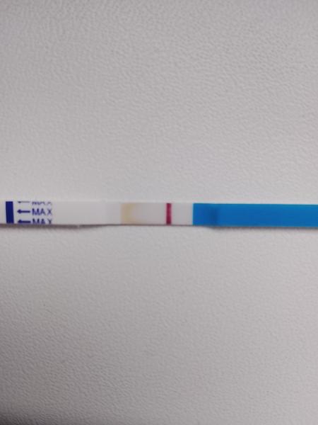 Vidíte také slabou čárku na testu?