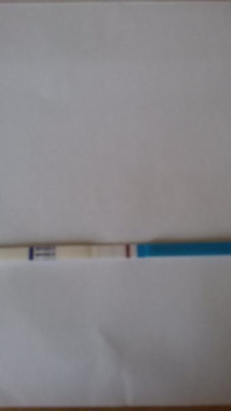 Mohlo by to vyjít, i když malinko klesá bazální teplota?