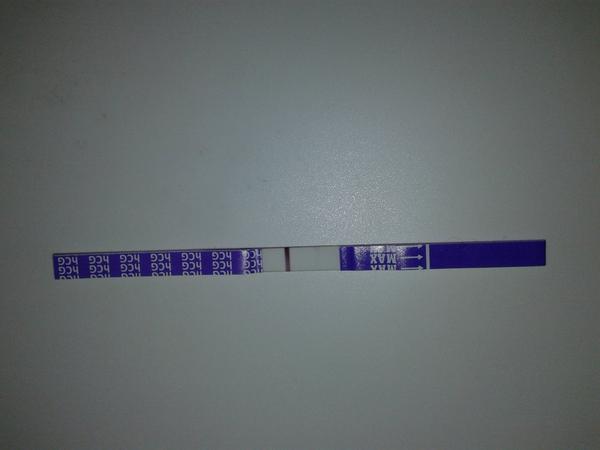 4 dny do ms. Vidíte něco?